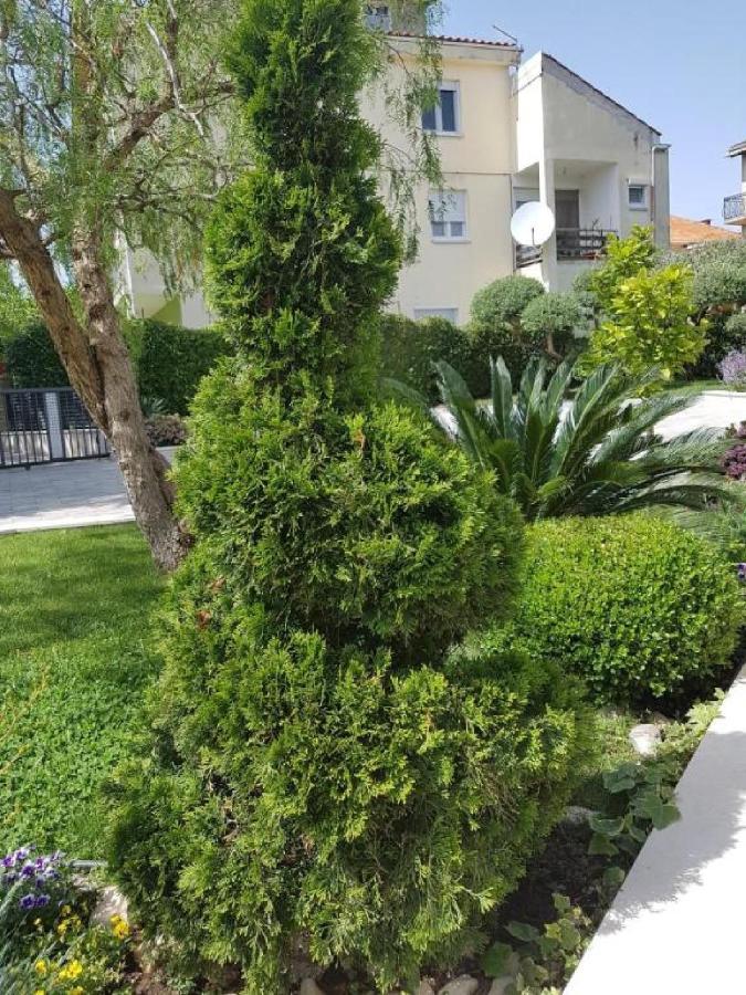 Calypso Royal Apartment Zadar Zewnętrze zdjęcie